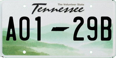 TN license plate A0129B