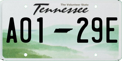 TN license plate A0129E