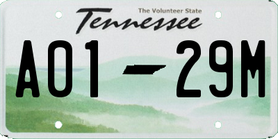 TN license plate A0129M