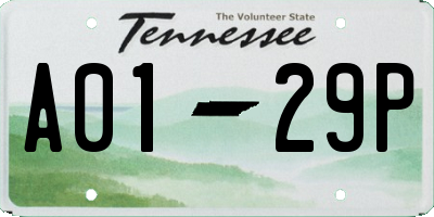 TN license plate A0129P