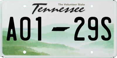 TN license plate A0129S