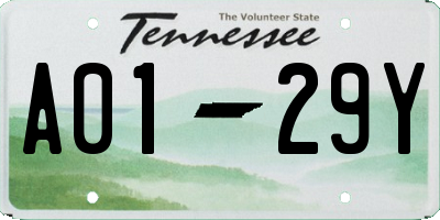 TN license plate A0129Y