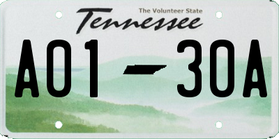 TN license plate A0130A