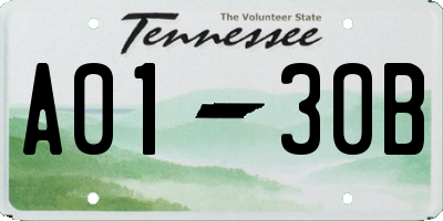 TN license plate A0130B