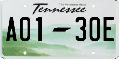 TN license plate A0130E