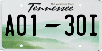 TN license plate A0130I