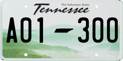 TN license plate A0130O