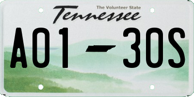 TN license plate A0130S