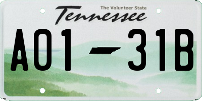 TN license plate A0131B