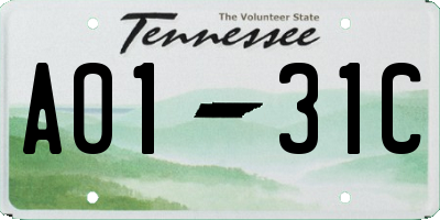 TN license plate A0131C