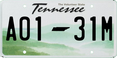 TN license plate A0131M