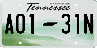 TN license plate A0131N