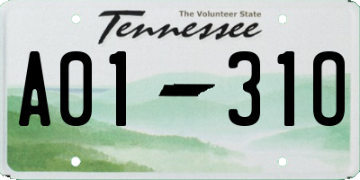 TN license plate A0131O
