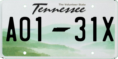 TN license plate A0131X