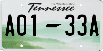 TN license plate A0133A