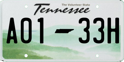 TN license plate A0133H