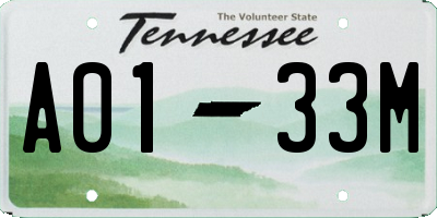 TN license plate A0133M