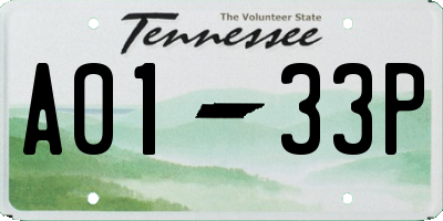 TN license plate A0133P