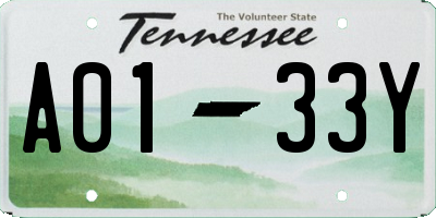 TN license plate A0133Y