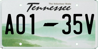 TN license plate A0135V