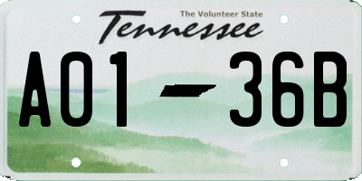 TN license plate A0136B