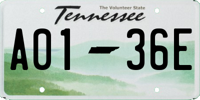 TN license plate A0136E