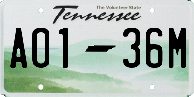 TN license plate A0136M