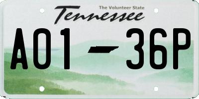 TN license plate A0136P