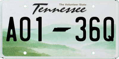 TN license plate A0136Q