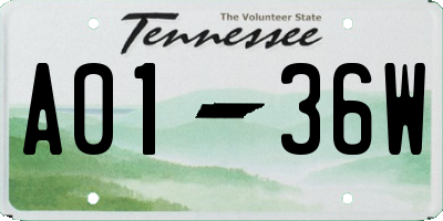 TN license plate A0136W