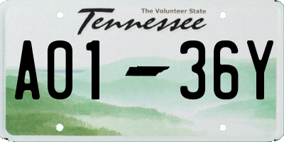 TN license plate A0136Y