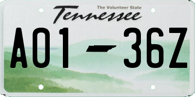 TN license plate A0136Z