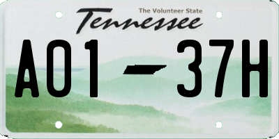 TN license plate A0137H