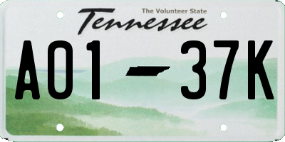 TN license plate A0137K