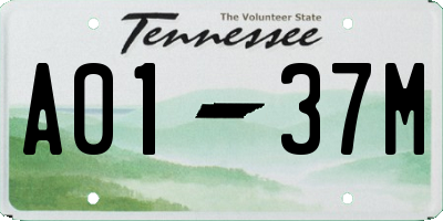 TN license plate A0137M