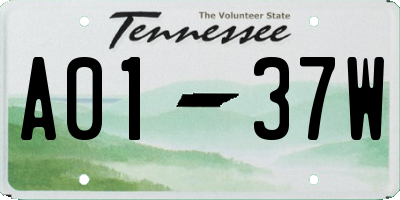 TN license plate A0137W