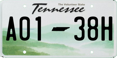 TN license plate A0138H