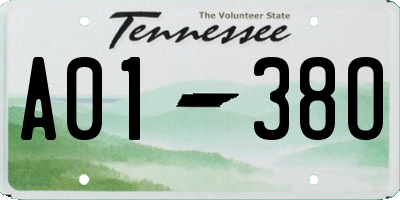 TN license plate A0138O