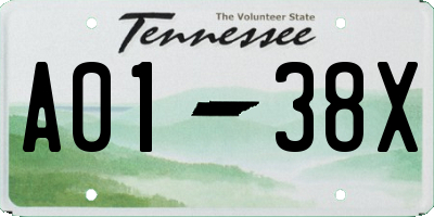 TN license plate A0138X