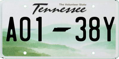 TN license plate A0138Y