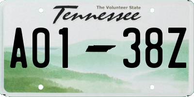 TN license plate A0138Z