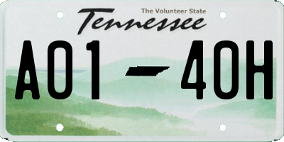 TN license plate A0140H