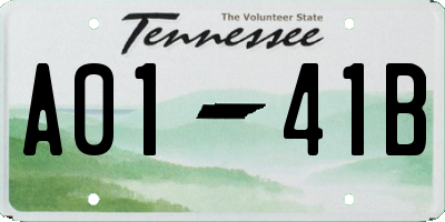 TN license plate A0141B