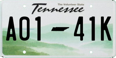 TN license plate A0141K