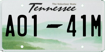 TN license plate A0141M