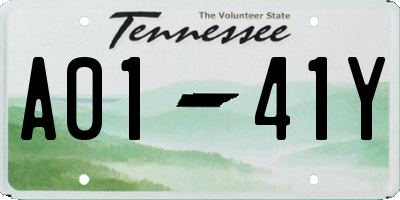 TN license plate A0141Y