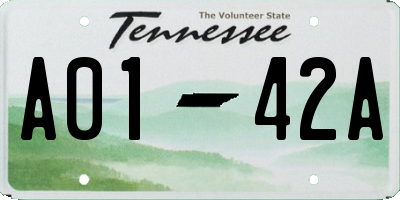 TN license plate A0142A