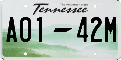 TN license plate A0142M