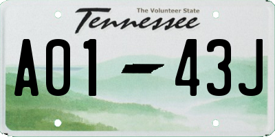 TN license plate A0143J