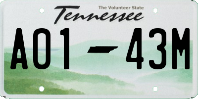 TN license plate A0143M